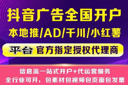 百度SEO与广告结合的多元化推广策略——多行业成功案例